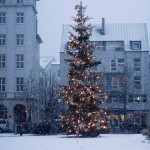 Der Weihnachtsbaum aus Oslo – Winterwunderland Reykjavik, ©Sabine Burger, Alexander Schwarz, 2013-12-14__MG_0720_00018
