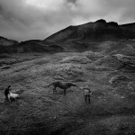 Der Schafabtrieb ist harte Arbeit – und manchmal auch unfreiwillig komisch. Aus: Ragnar Axelsson – Behind the Mountains, ©Ragnar Axelsson, Rax_fjallaland_072